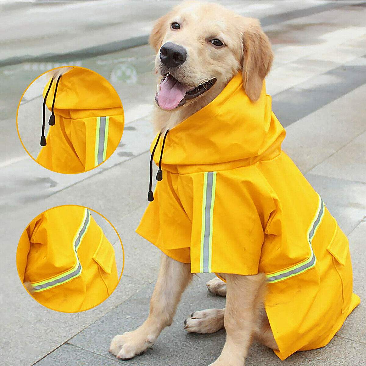 Regenmantel für Hunde