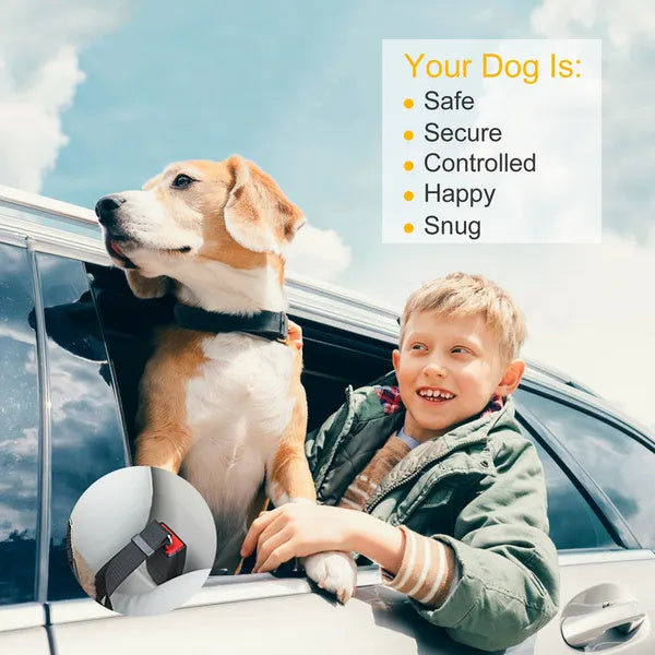 Verstellbare Hundegurt fürs Auto
