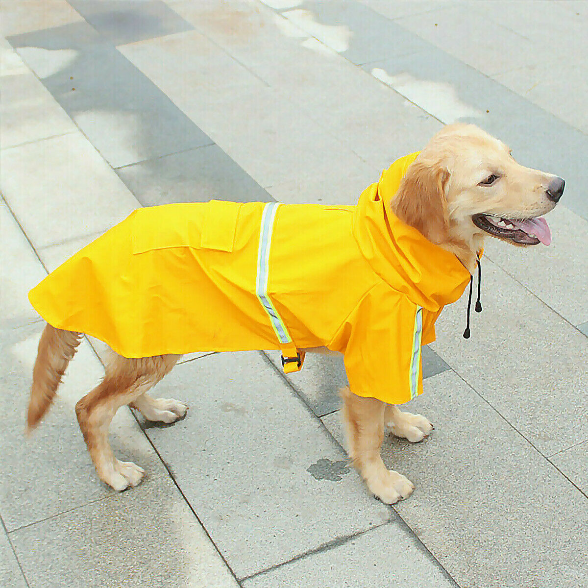 Regenmantel für Hunde