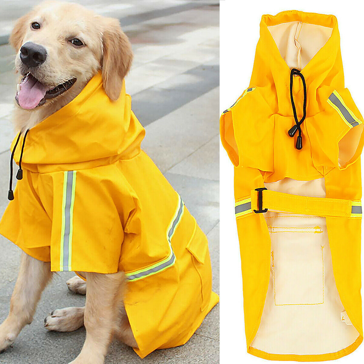Regenmantel für Hunde